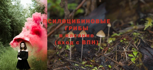 ECSTASY Алексин